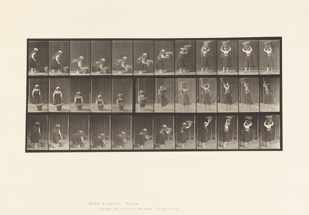 Tallrik 230. Lyftande 30 lb korg från mark till huvud, svarvning, 1885 av Eadweard Muybridge
