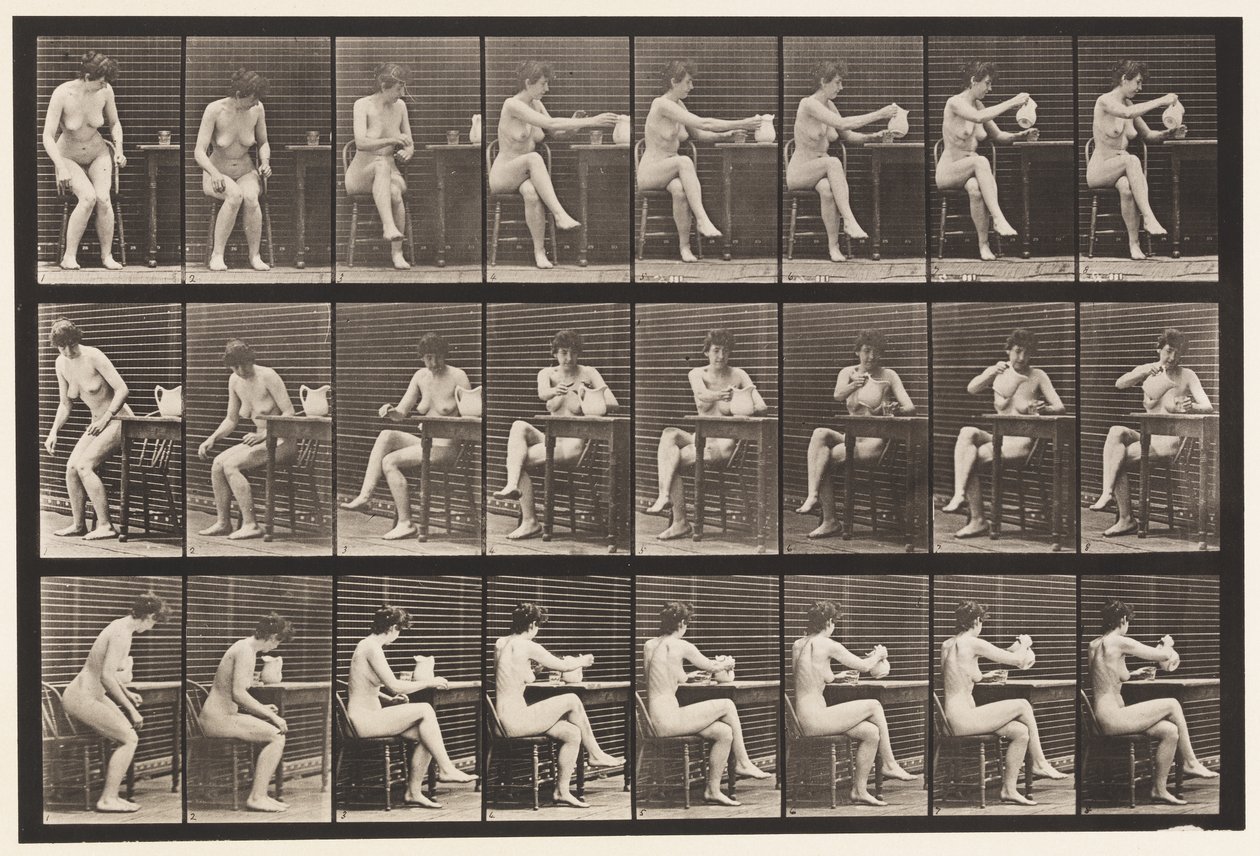 Tallrik 244. Sittande korsande ben, fyllningsbägare från Pitcher av Eadweard Muybridge