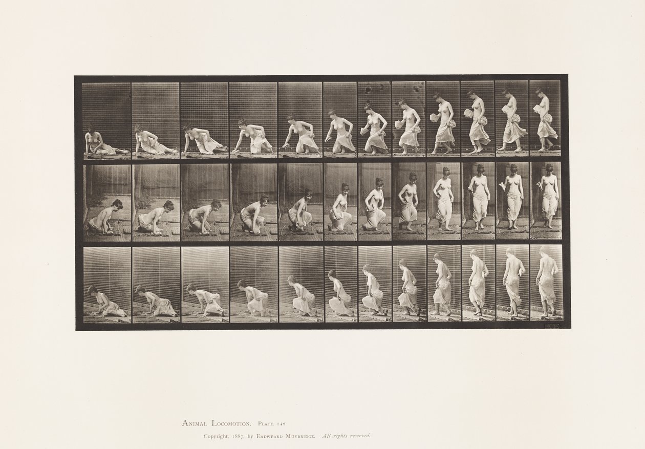 Tallrik 248. Sitter på marken av Eadweard Muybridge