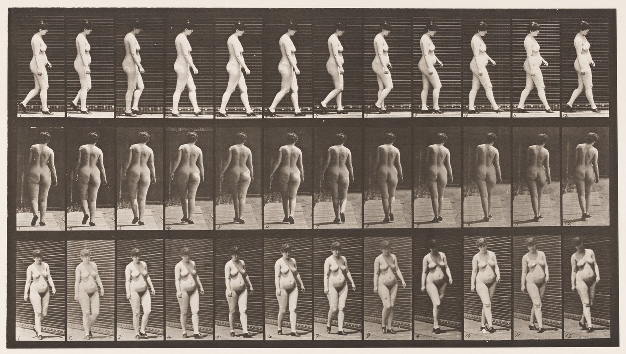 Tavla 24. Gå, med högklackade skor på av Eadweard Muybridge
