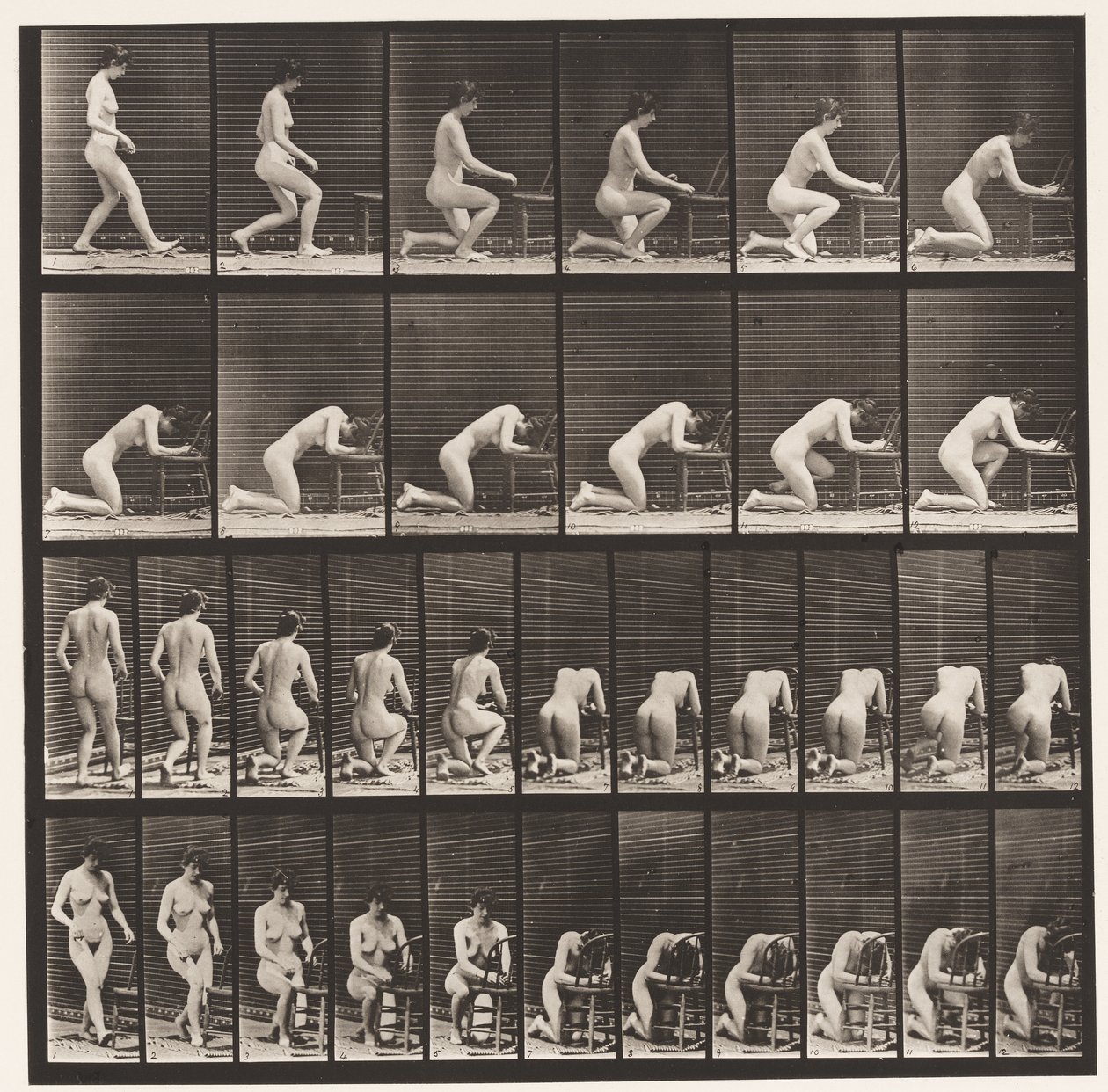 Tallrik 254. Knästående, armbågar på stolen, händerna knäppta av Eadweard Muybridge