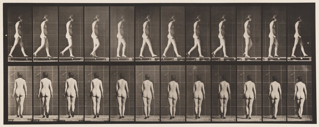 Tavla 25. Går, med högklackade skor på av Eadweard Muybridge