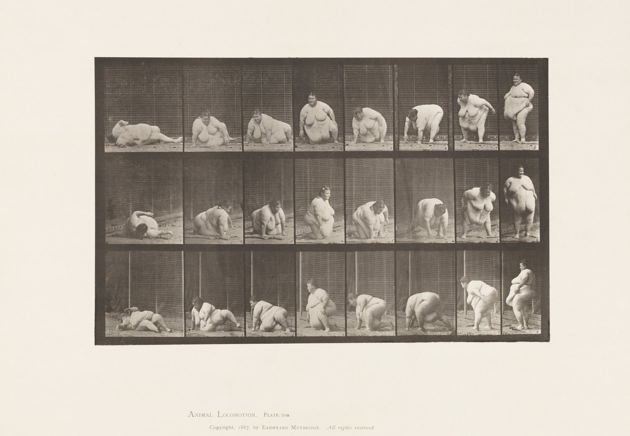 Plåt 268. Uppstår från marken, 1885 av Eadweard Muybridge