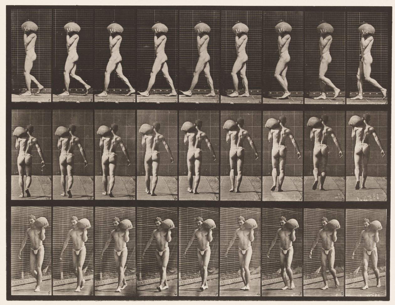 Plåt 26. Går, bär 75-lb sten på vänster axel av Eadweard Muybridge
