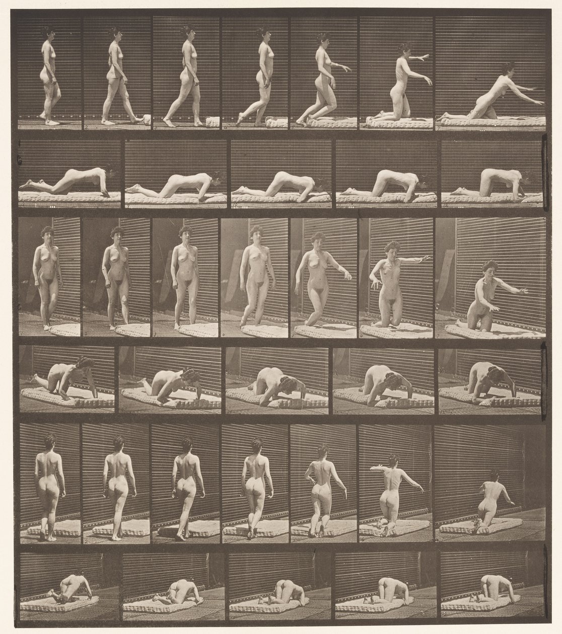 Tavla 272. Snubblande och fallande på marken av Eadweard Muybridge