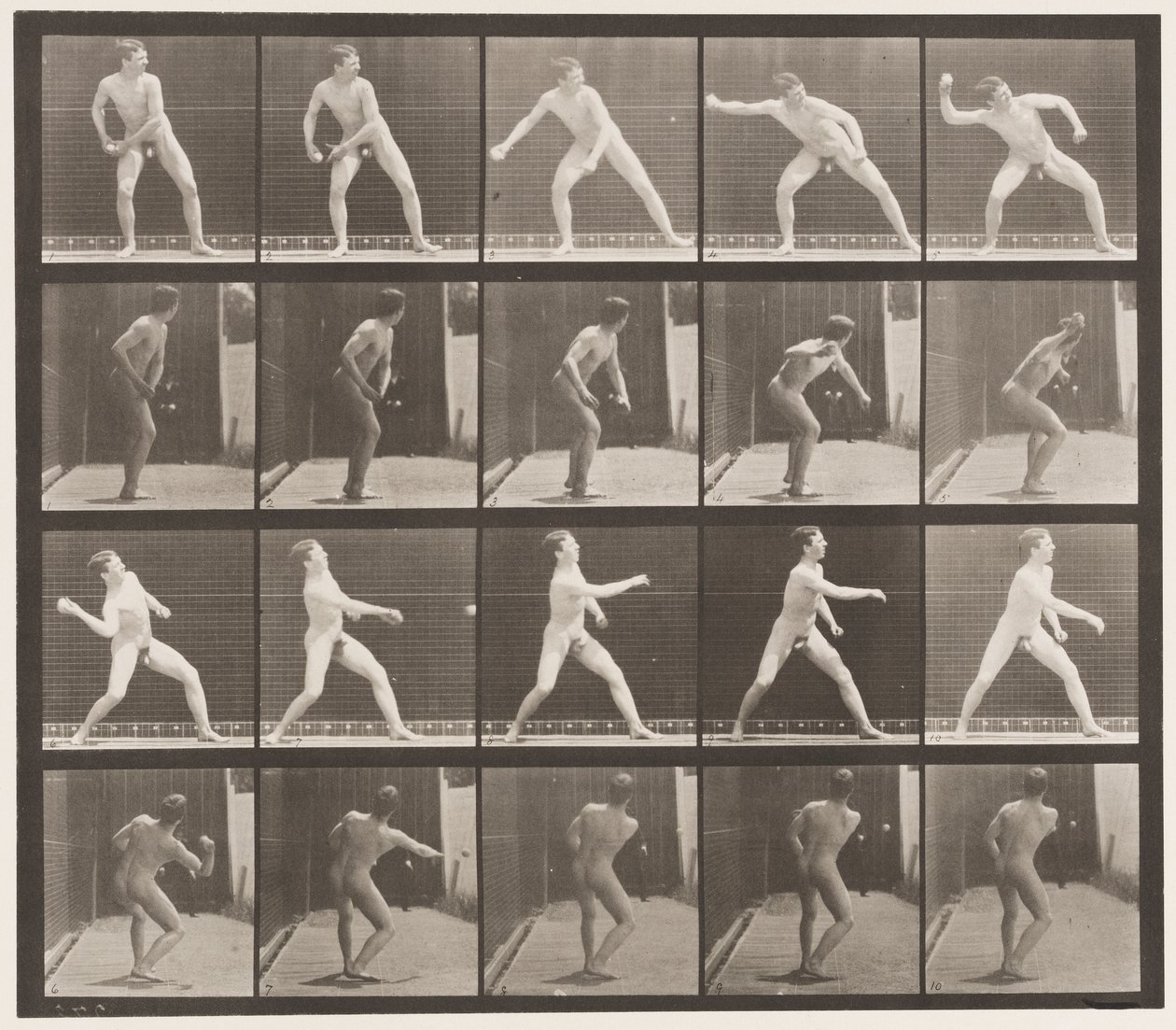 Tallrik 273. Base-ball; Pitching av Eadweard Muybridge