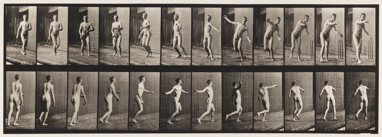 Tallrik 289.Cricket; Round Arm Bowling, 1885 av Eadweard Muybridge