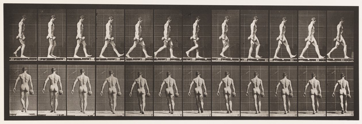 Skylt 28. Går, bär 50 lb. Dumb-Bell i höger hand, 1872-1885 av Eadweard Muybridge