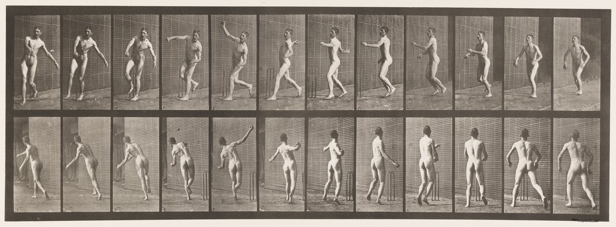 Tallrik 290.Cricket; Over Arm Bowling, 1885 av Eadweard Muybridge