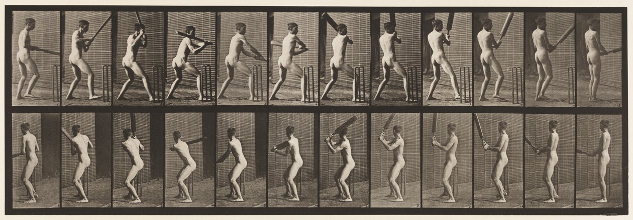 Tallrik 292.Cricket; Vadd; Tillbaka ut, 1885 av Eadweard Muybridge