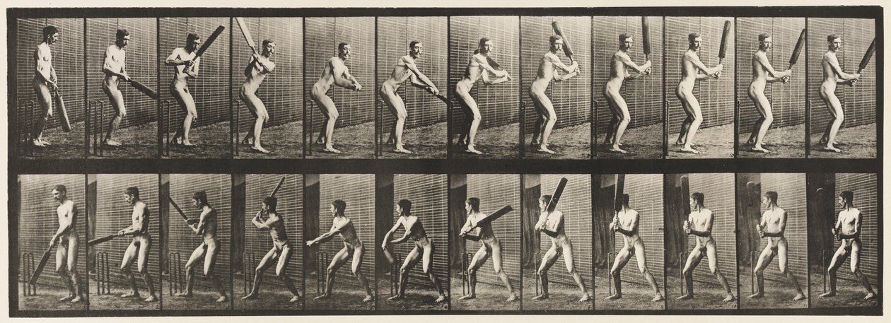 Tallrik 293.Cricket; Vadd; Back Cut, 1885 av Eadweard Muybridge