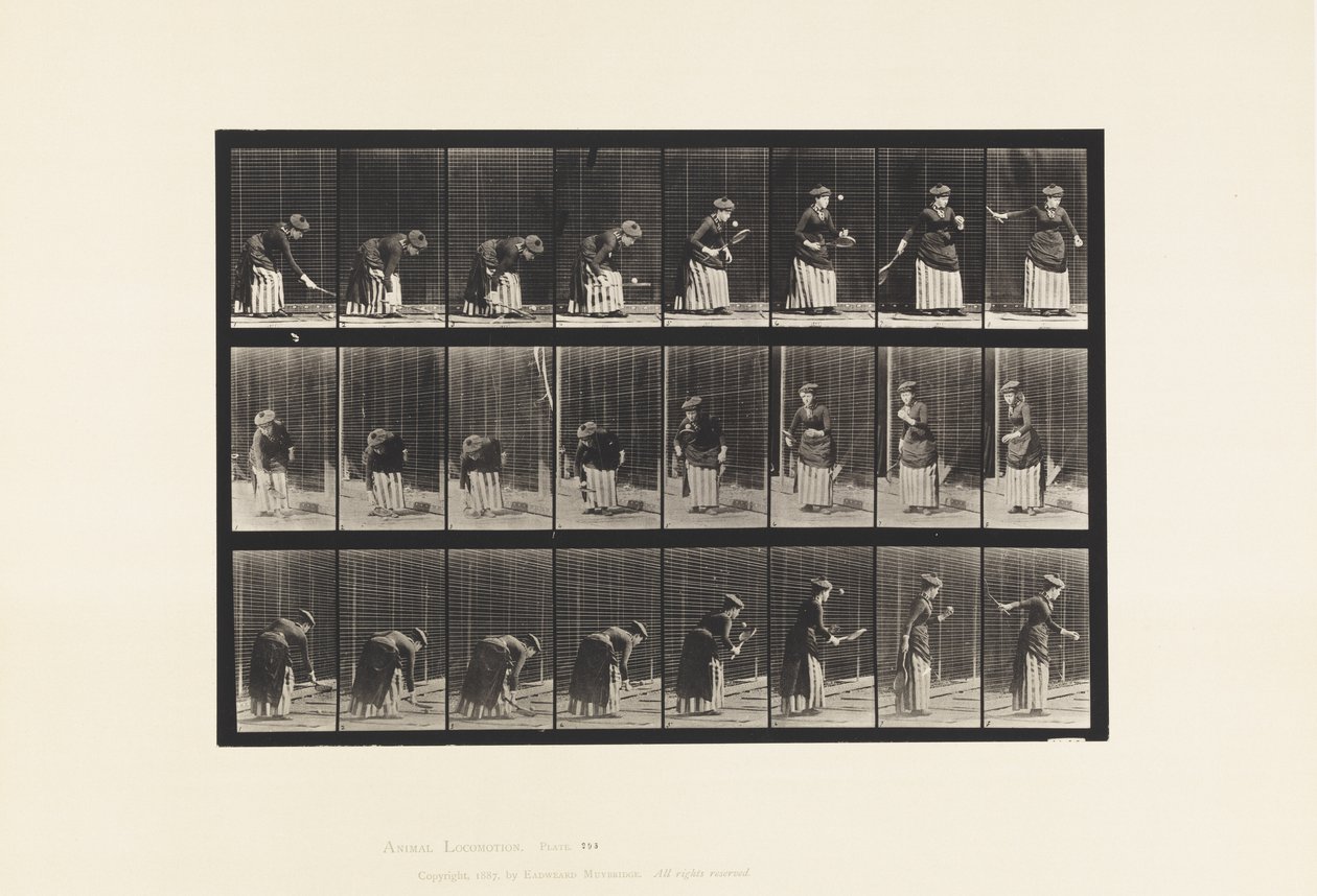 Tallrik 295. Lawn Tennis; Servering av Eadweard Muybridge