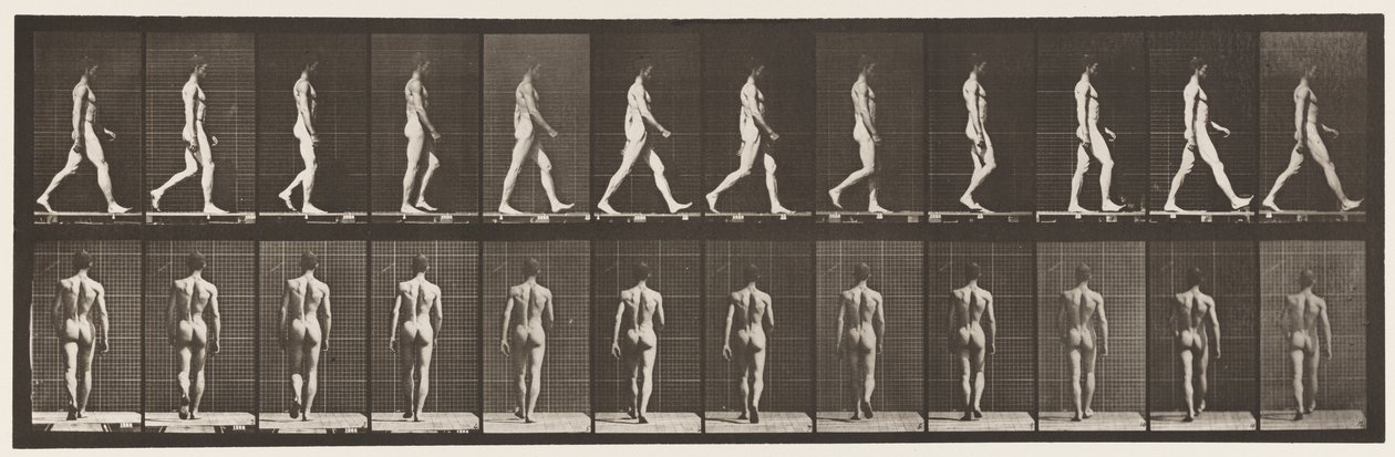 Plåt 2. Vandring, 1872-1885 av Eadweard Muybridge