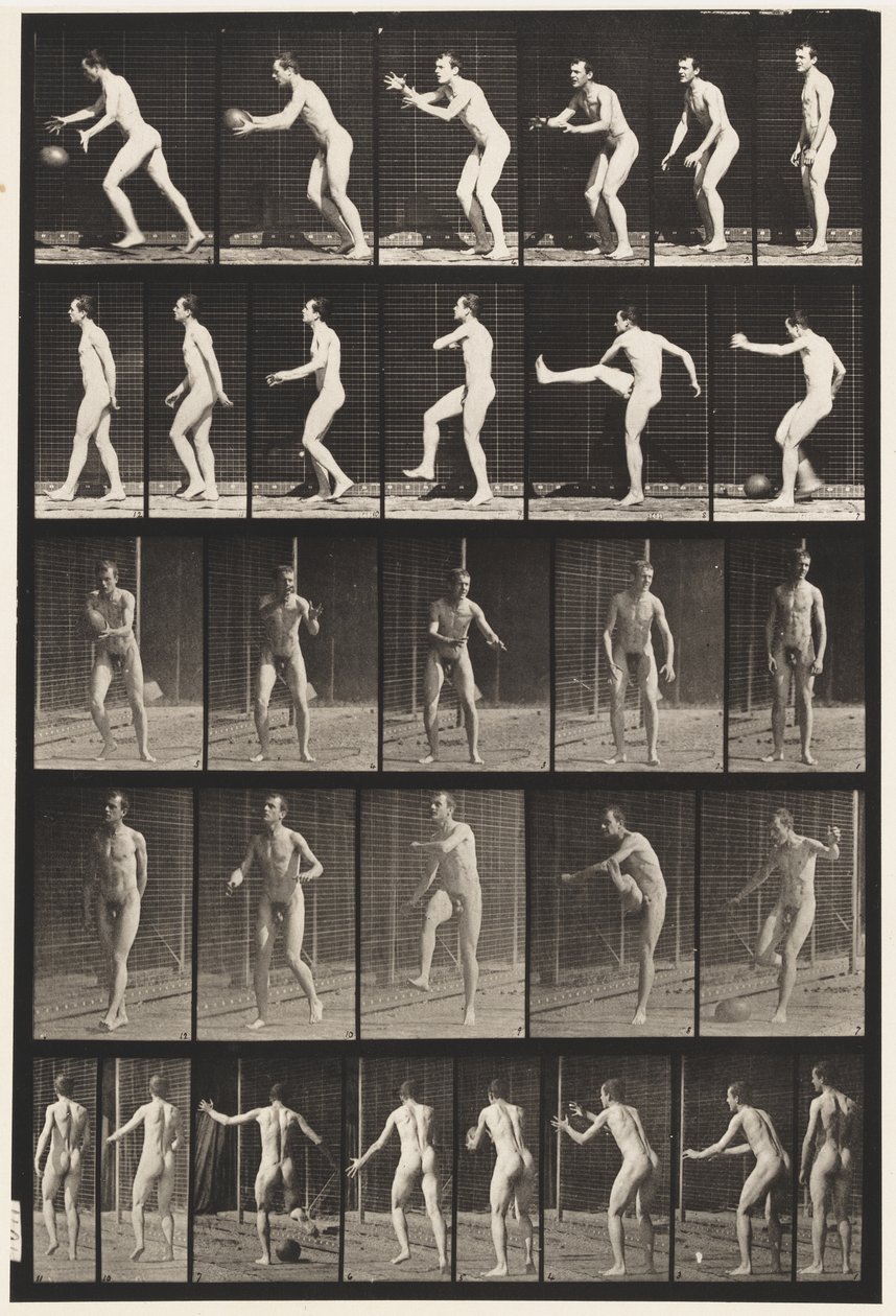 Tallrik 300. Fotboll; drop kick, 1885 av Eadweard Muybridge