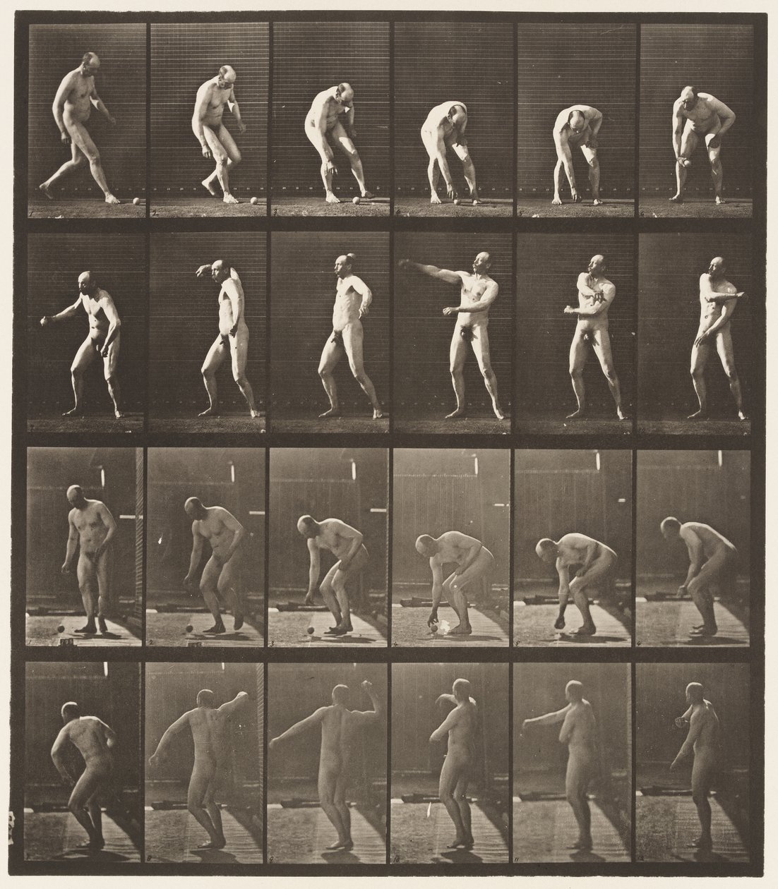 Plåt 302. Plocka upp en boll och kasta den, 1885 av Eadweard Muybridge