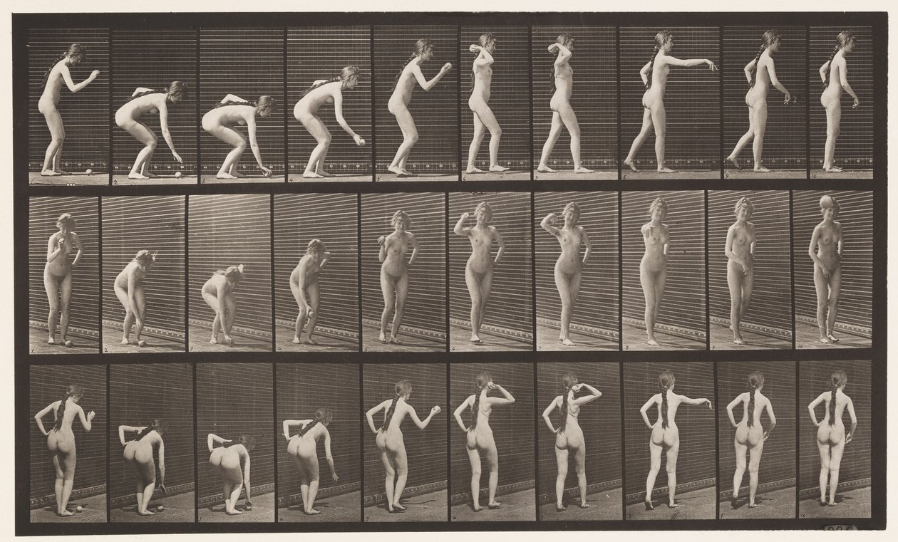 Tallrik 304. Plocka upp en boll och kasta den av Eadweard Muybridge