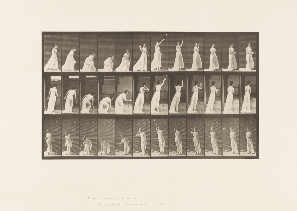 Plåt 305. Plocka upp en boll och kasta den, 1885 av Eadweard Muybridge