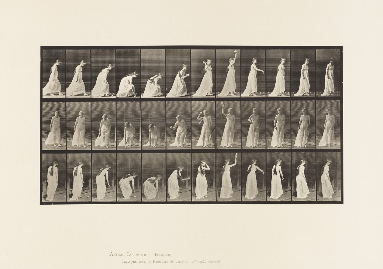 Plåt 306. Plocka upp en boll och kasta den, 1885 av Eadweard Muybridge