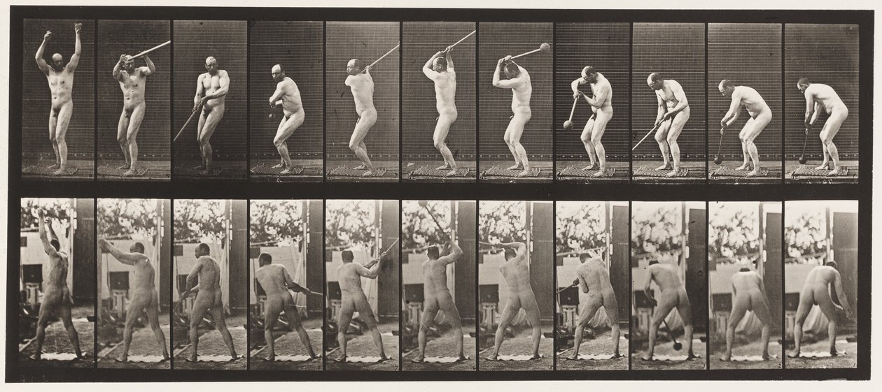 Plåt 308. Kasta hammaren, 1885 av Eadweard Muybridge
