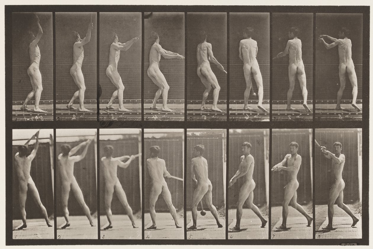 Plåt 309. Kasta hammaren av Eadweard Muybridge