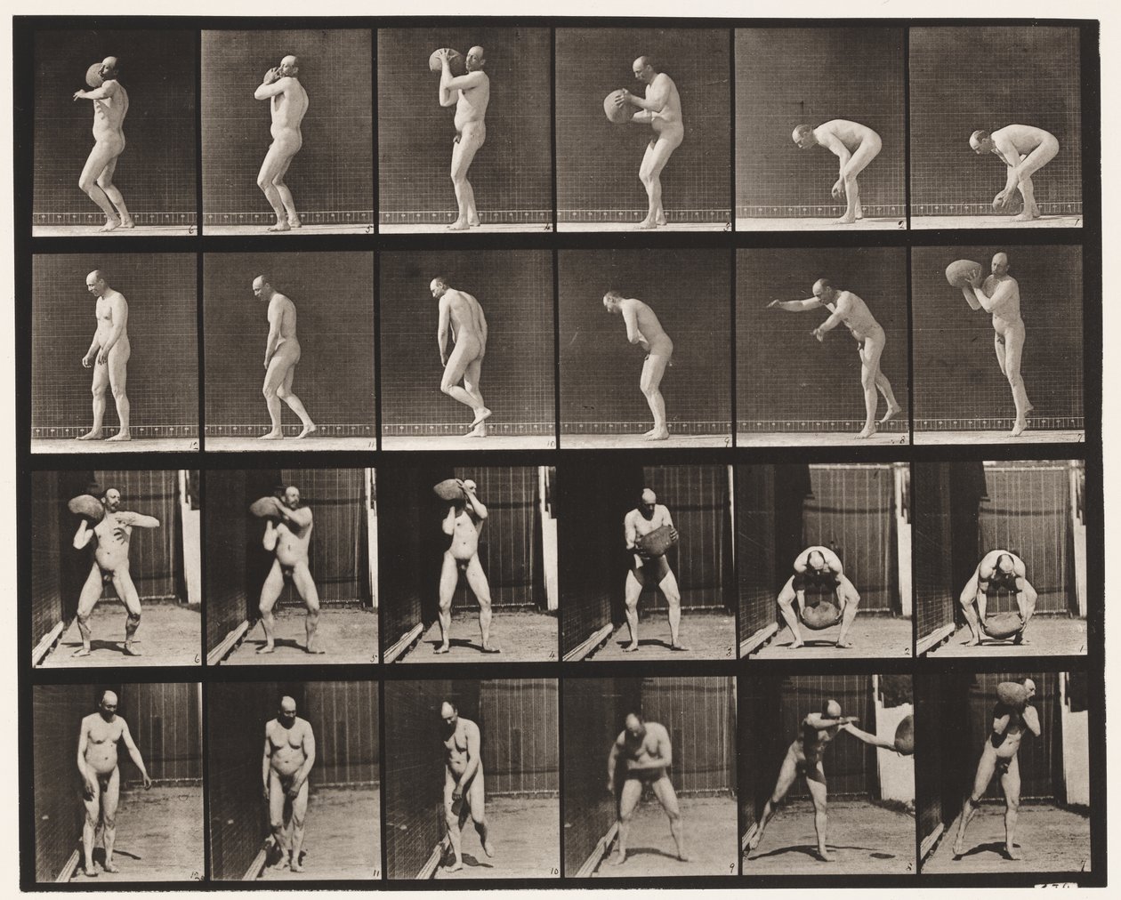 Tavla 312. Heaving a 75-lb sten av Eadweard Muybridge