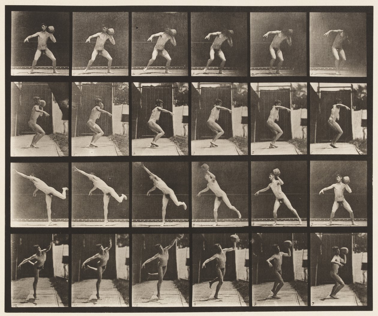 Tallrik 315. Hänger en 20-lb sten av Eadweard Muybridge