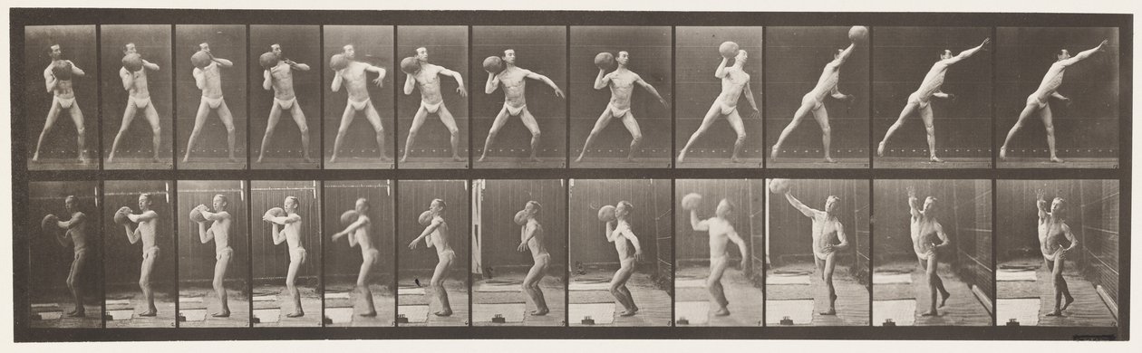 Tallrik 319. Hänger en 75 lb sten av Eadweard Muybridge