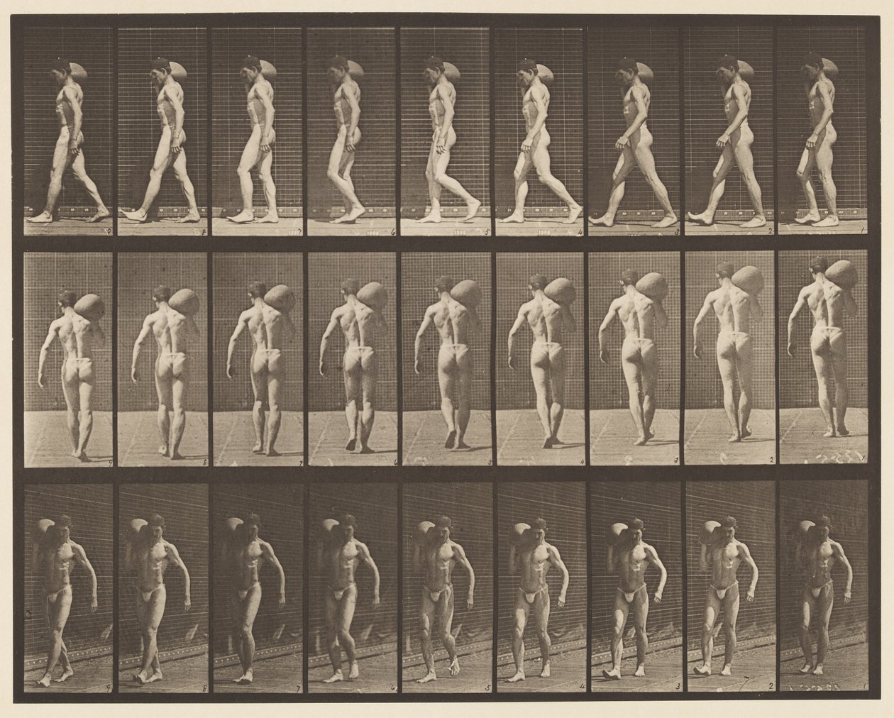 Skylt 31. Går, bär 75-lb sten på höger axel av Eadweard Muybridge
