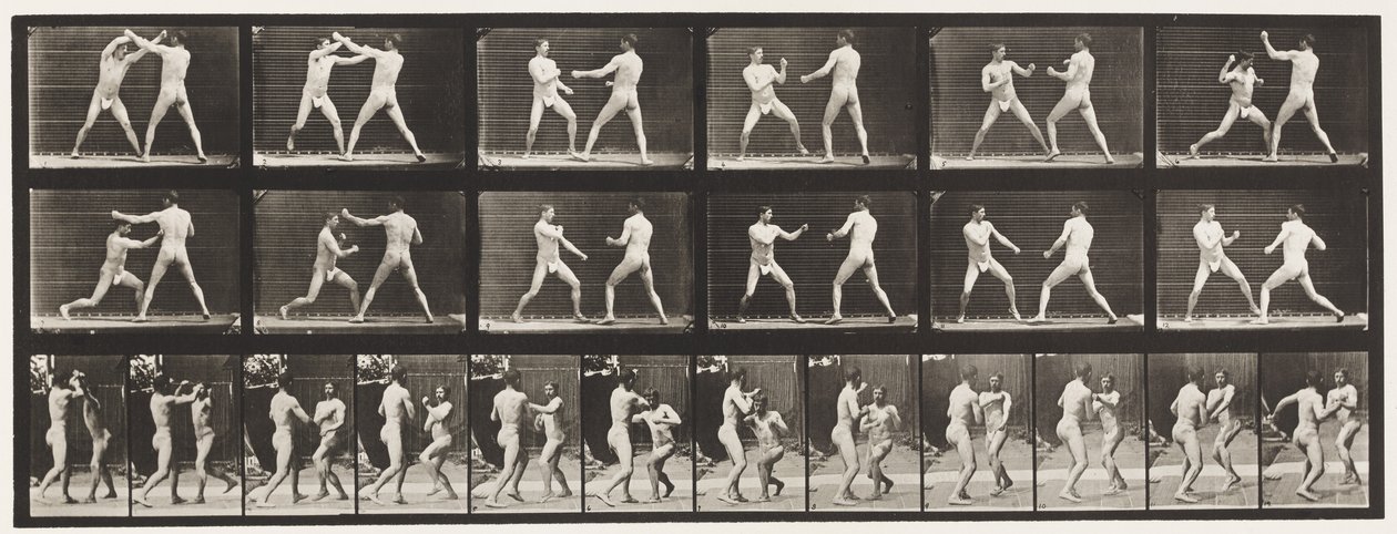 Tallrik 329. Boxning; (Skor) av Eadweard Muybridge