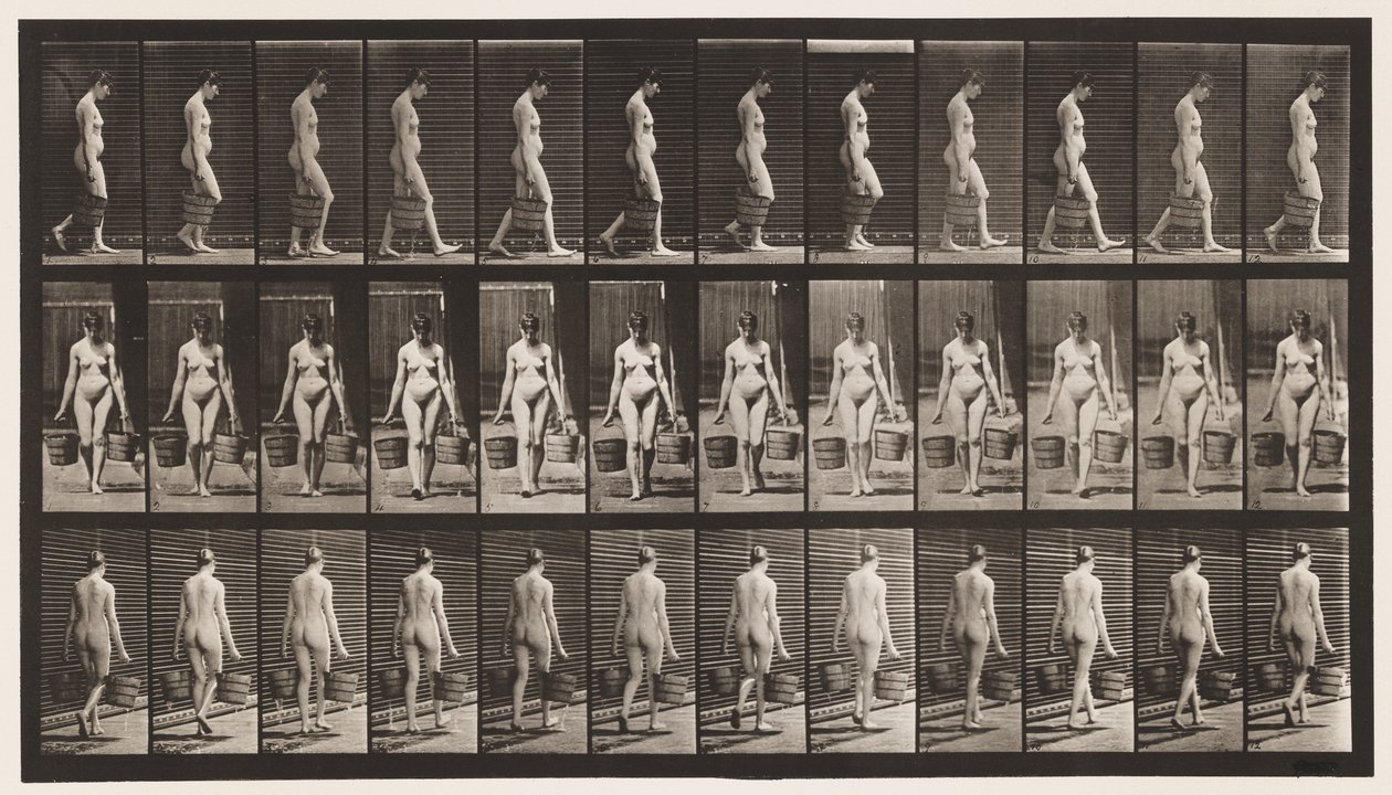 Tavla 32. Går, bär en hink med vatten i varje hand av Eadweard Muybridge