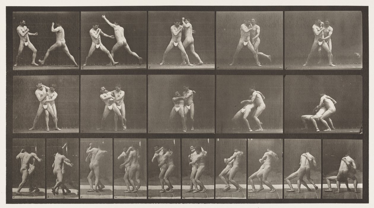 Tallrik 331. Boxning; Stopp för Cross-Butocks av Eadweard Muybridge