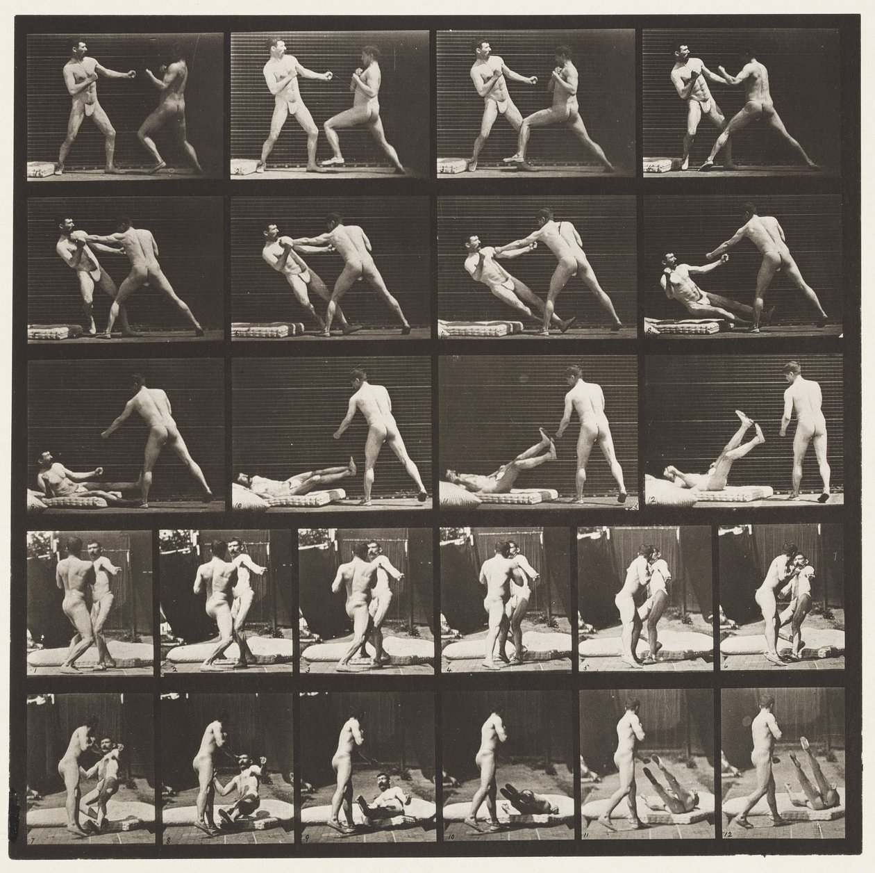 Tallrik 333. Boxning; 53 Knocking 52 Down (Skor) av Eadweard Muybridge