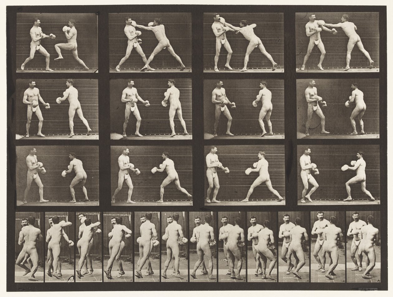 Tallrik 335. Boxning; Med handskar av Eadweard Muybridge