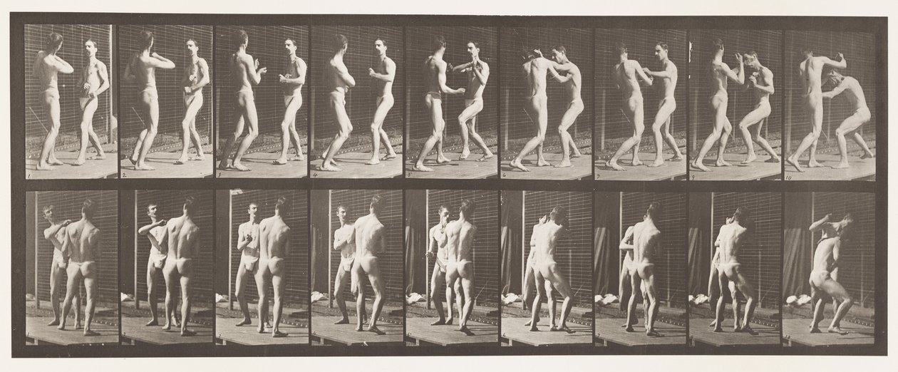 Tallrik 339. Boxning; Öppen hand av Eadweard Muybridge
