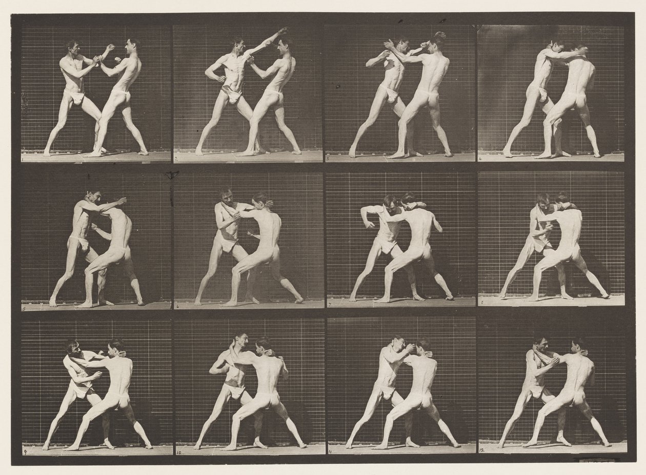 Tallrik 340. Boxning; Öppen hand av Eadweard Muybridge