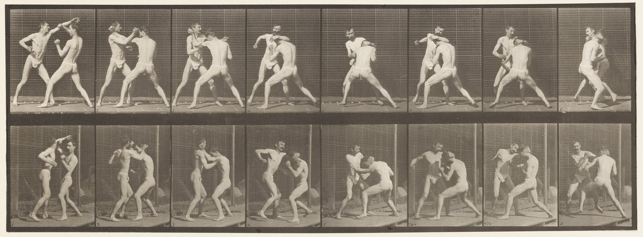 Tallrik 342. Boxning; Öppen hand, 1872-1885 av Eadweard Muybridge