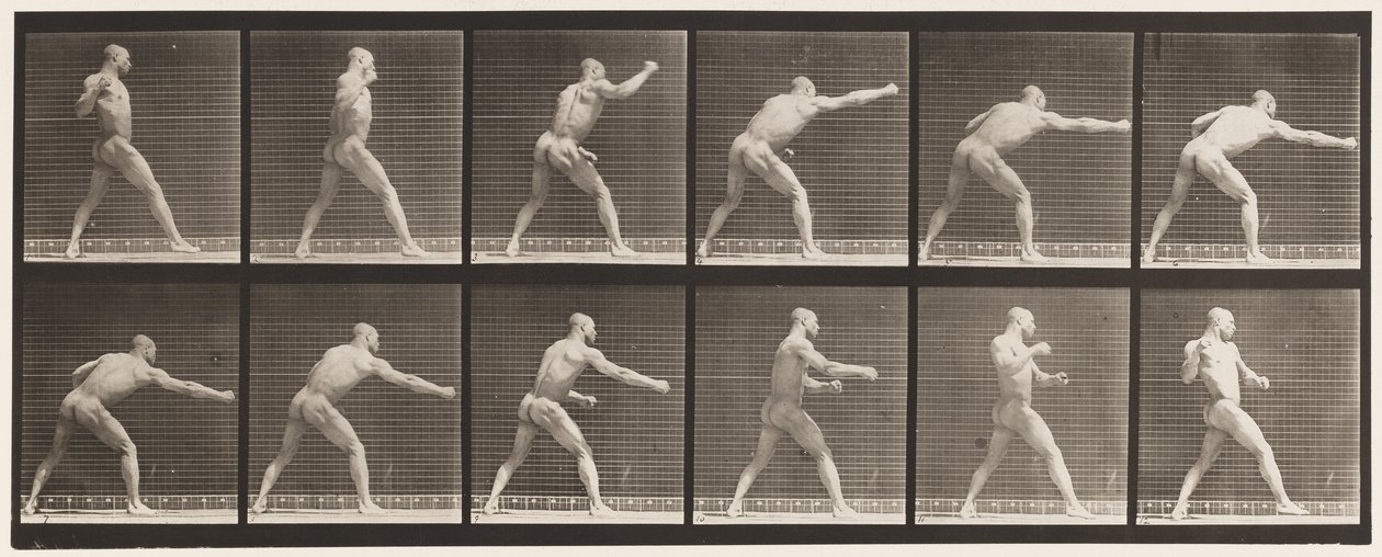 Plåt 344. Slå ett slag (höger hand) av Eadweard Muybridge