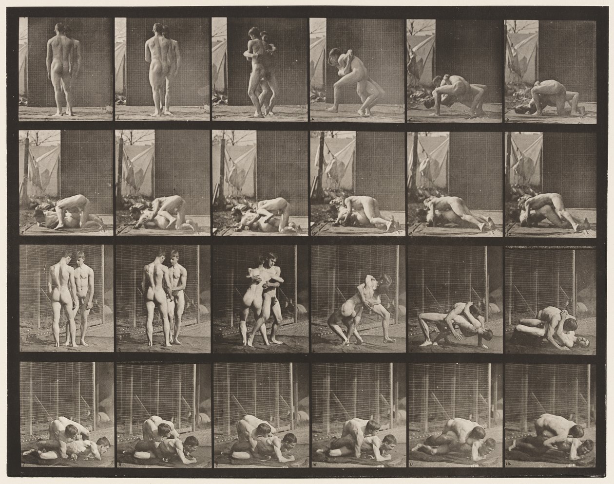 Plåt 346. Brottning, Lås av Eadweard Muybridge