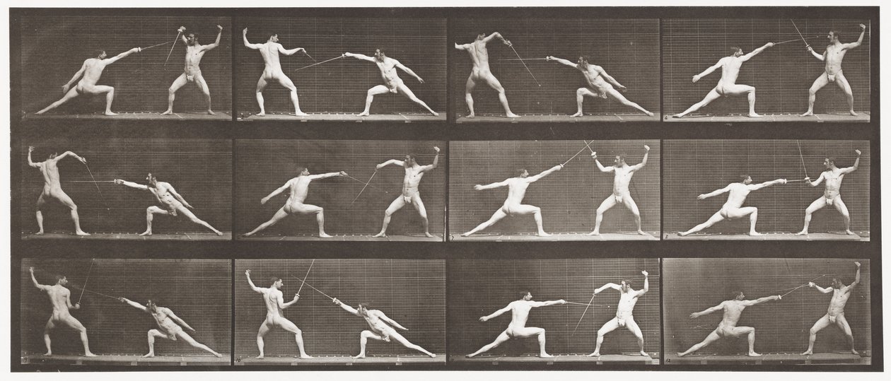 Plåt 349. Fäktning, 1872-1885 av Eadweard Muybridge