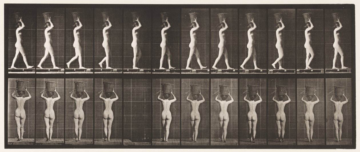 Tavla 34. Går av Eadweard Muybridge