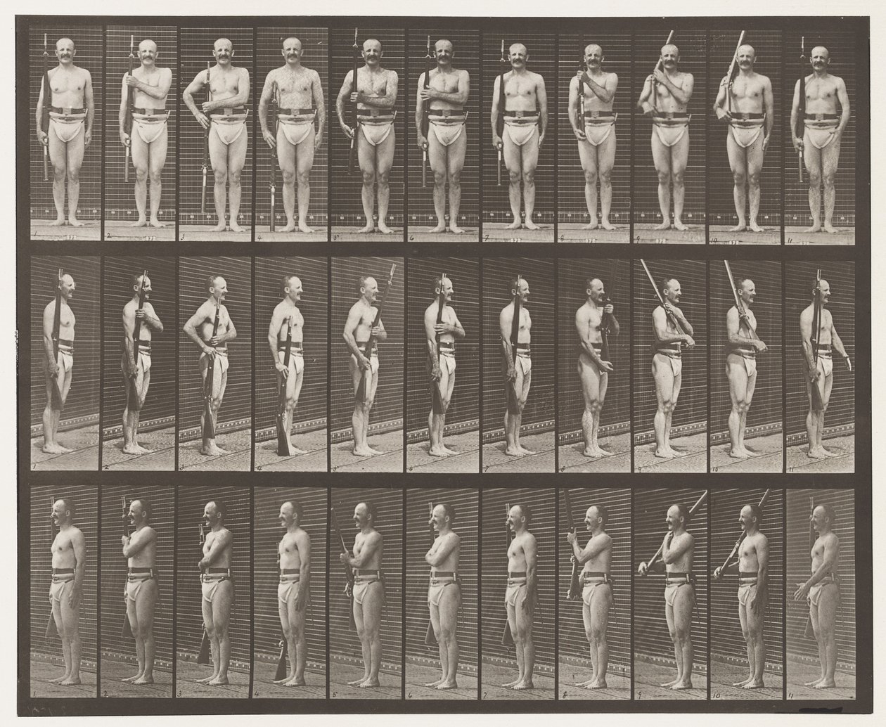 Plåt 352. Axel-, ordnings- och bärarmar av Eadweard Muybridge