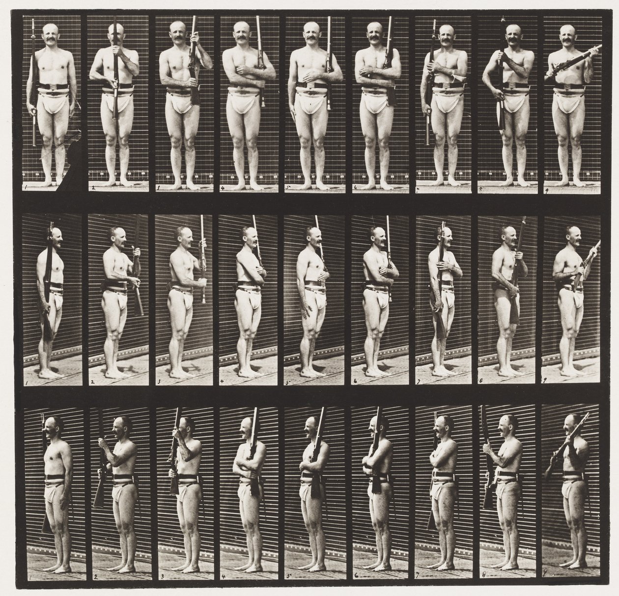 Plåt 353. Stödvapen och vapenport, 1872-1885 av Eadweard Muybridge