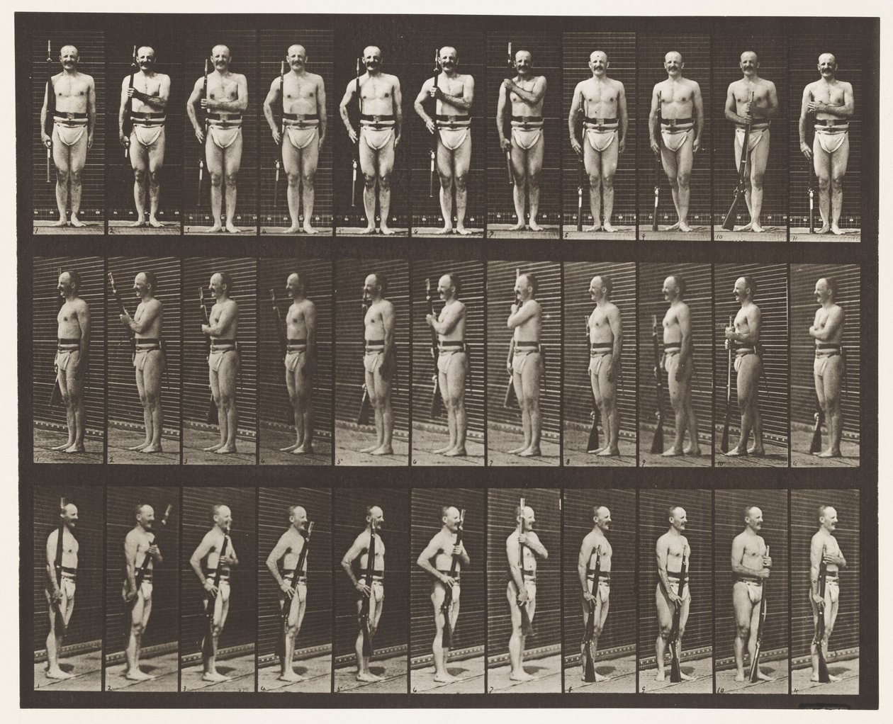 Skylt 354. Bärarmar, paradvila och ledarmar av Eadweard Muybridge