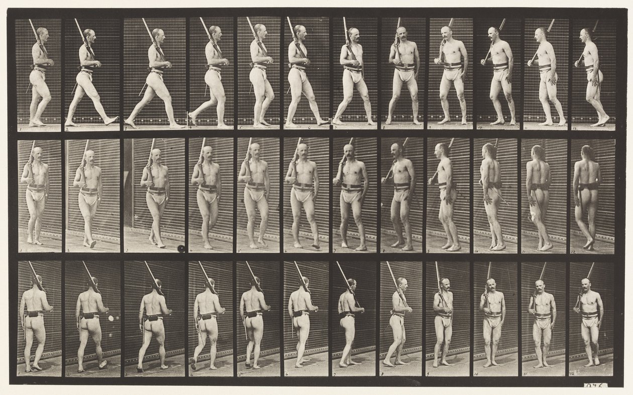 Tallrik 355. På vakt, går och vänder sig om av Eadweard Muybridge