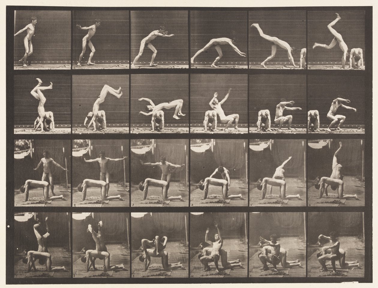 Tavla 364. Handfjäder över mannens rygg av Eadweard Muybridge