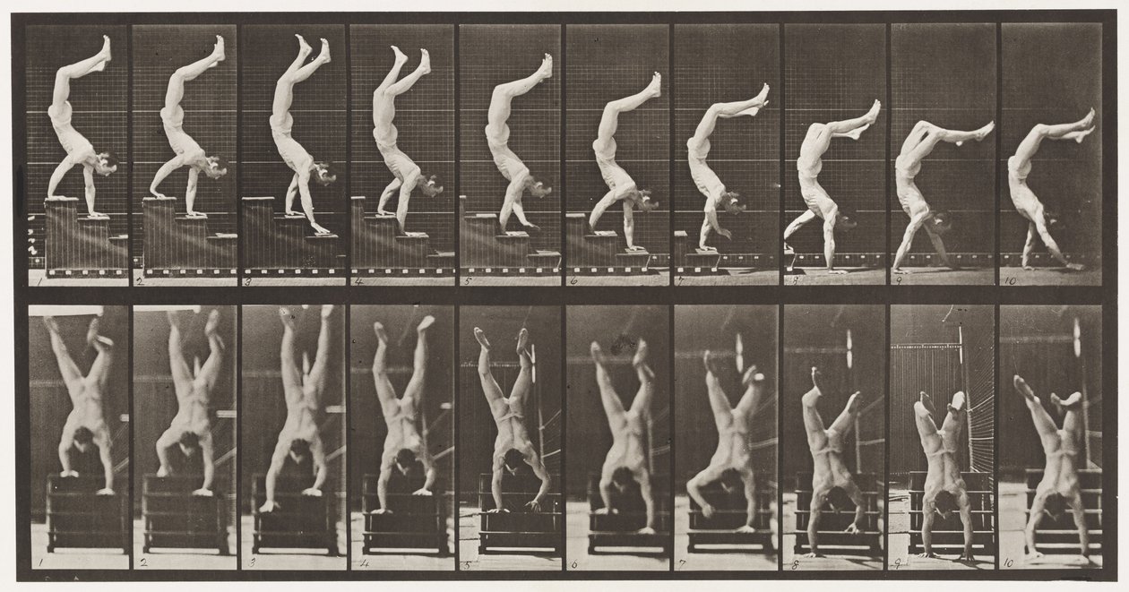 Tavla 368. Akrobat, fallande trappor på händer av Eadweard Muybridge