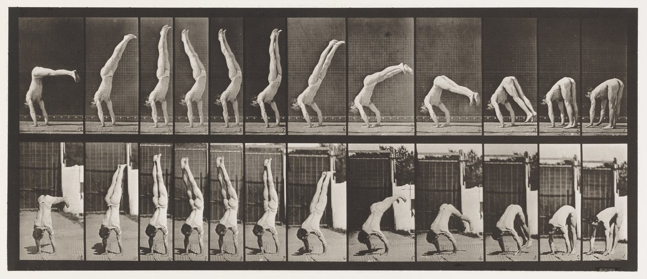 Plåt 371. Acrobat, vertikalt tryck upp av Eadweard Muybridge