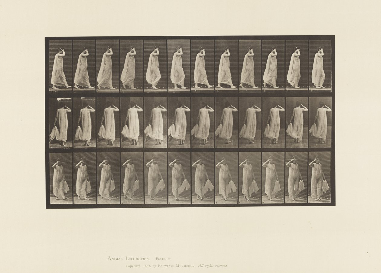 Skylt 37. Gå, klänning med vänster hand, höger hand vid ansiktet, 1872-1885 av Eadweard Muybridge