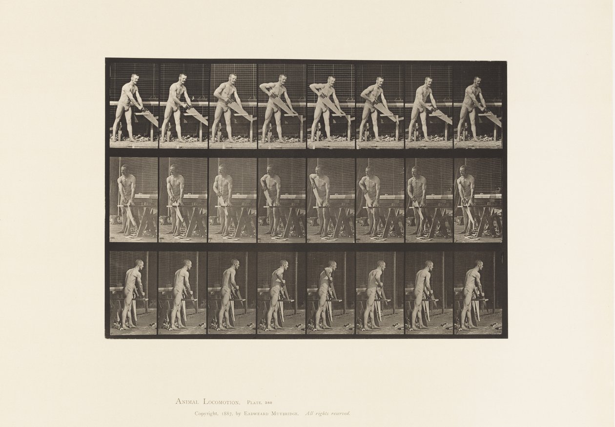 Plåt 380. Snickare, Sågning, 1872-1885 av Eadweard Muybridge