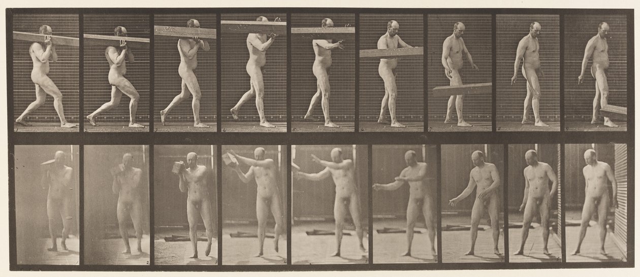 Plåt 384. Lyfta en stock på axeln av Eadweard Muybridge